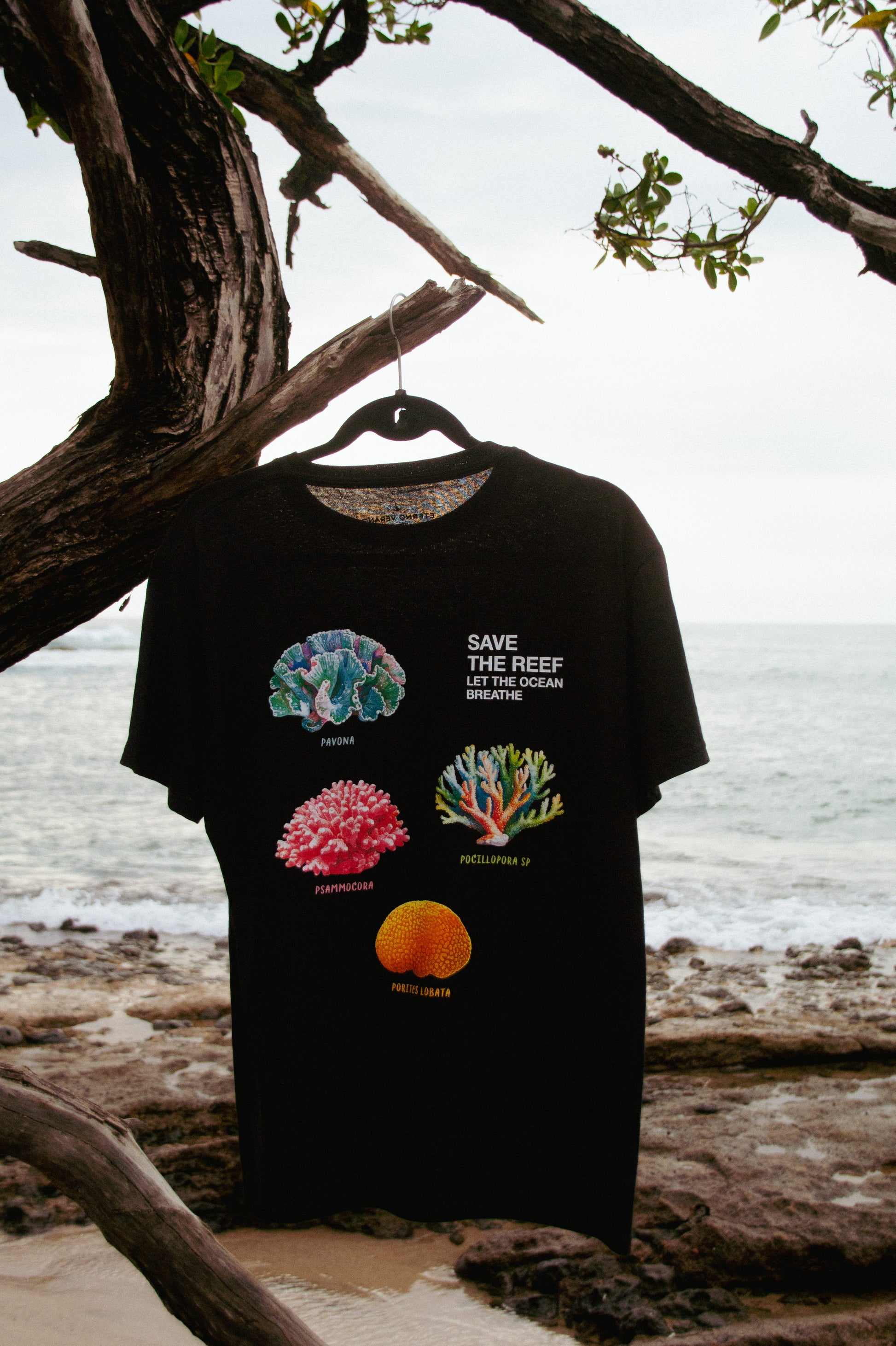Tama Reef Regular Tee Black