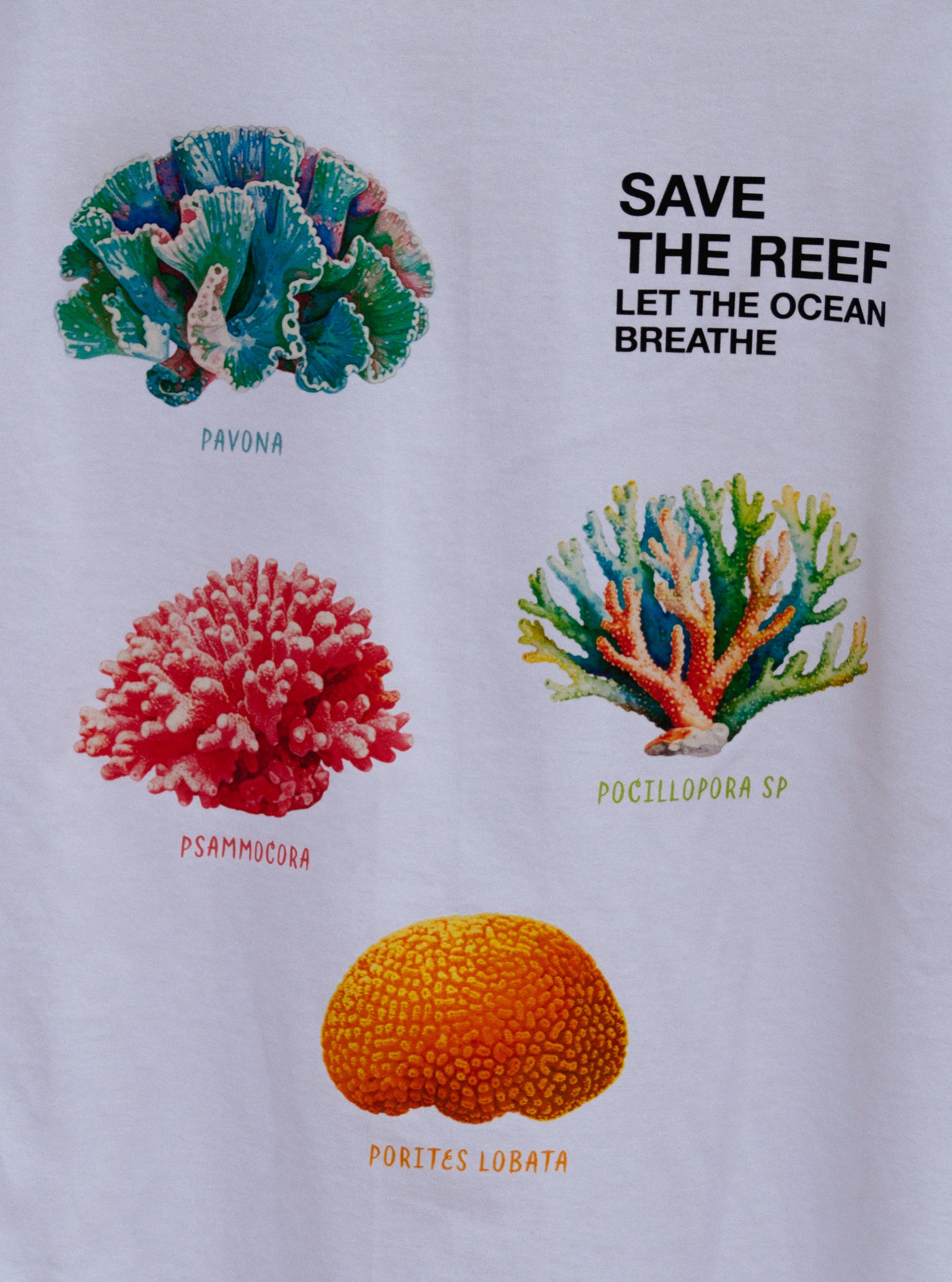 Tama Reef Regular Tee White